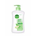 Dettol Hand Wash Antiseptic Aloe Vera & Apple - 400 Ml