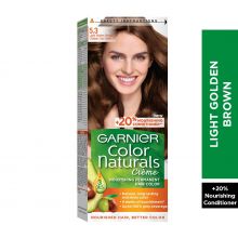 Garnier, Color Naturals, Hair Color, Light Gold Brown No 5.3 - 1 Kit